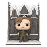 Harry Potter - Chamber of Secrets Anniversary POP! Hogsmeade - Shrieking Shack w/Lupin 9cm Deluxe Funko Vinyl Figure