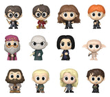 Harry Potter Loungefly Enamel Pins Blind Display (12)