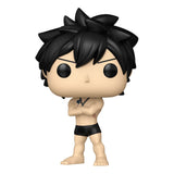 Fairy Tail 100 Year Quest POP! Animation Vinyl Figures Gray w/Chase 9 cm Assortment (6)