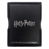 Harry Potter Flying Key Necklace with Pendant