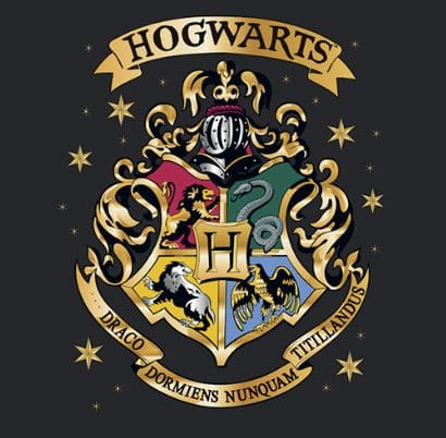 Harry Potter Premium Mug Hogwarts 444 ml