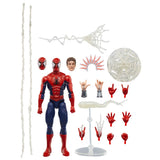 Marvel Legends Maximum Series Spider-Man 15 cm Action Figure
