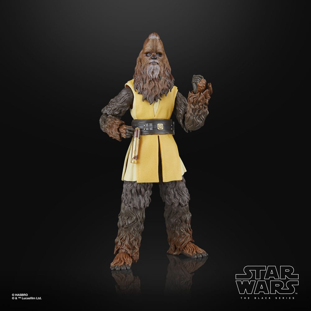 Star Wars The Acolyte Black Series Jedi Master Kelnacca 15 cm Action Figure
