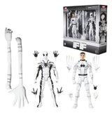 Future Foundation Marvel Legends Action Figure 2-Pack Mister Fantastic & Spider-Man 15 cm