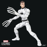 Future Foundation Marvel Legends Action Figure 2-Pack Mister Fantastic & Spider-Man 15 cm