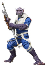 Star Wars: The Mandalorian & Grogu Black Series Action Figure Garazeb “Zeb” Orrelios 15 cm