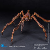 Godzilla x Kong The New Empire Exquisite Basic Scylla 18 cm Action Figure