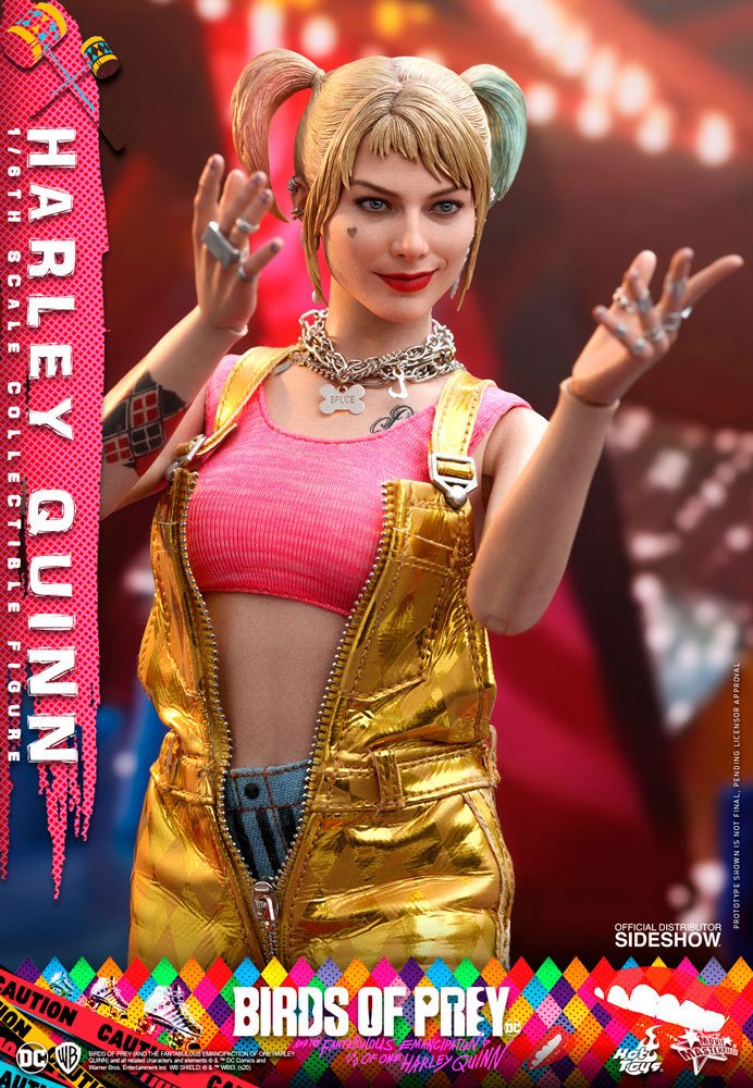 DC: Birds of Prey: Harley Quinn: 1/6 Scale Hot Toys Collectible Figure