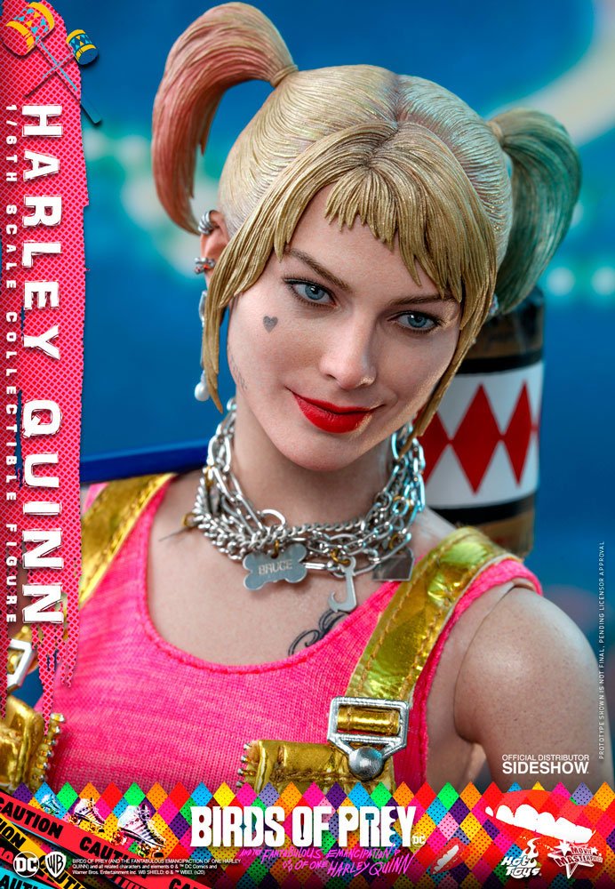 DC: Birds of Prey: Harley Quinn: 1/6 Scale Hot Toys Collectible Figure