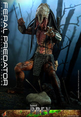 Prey Feral Predator 37 cm 1/6 Scale HOT TOYS Action Figure