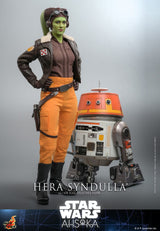 Star Wars Ahsoka Hera Syndulla 28cm 1/6 Scale Hot Toys Action Figure