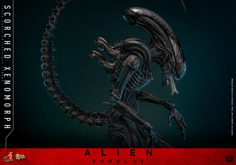 Alien Romulus Movie Masterpiece Scorched Xenomorph 44 cm 1/6 Action Figure
