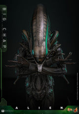 Alien Movie Masterpiece Action Figure 1/6 Big Chap 36 cm