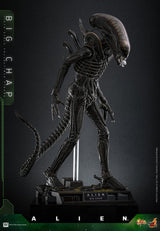 Alien Movie Masterpiece Action Figure 1/6 Big Chap 36 cm