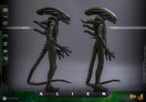 Alien Movie Masterpiece Action Figure 1/6 Big Chap 36 cm