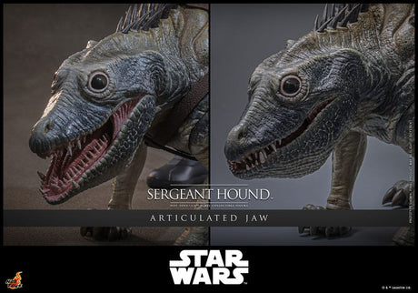 Star Wars: The Clone Wars Action Figure 1/6 Sergeant Hound 30 cm
