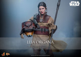 Star Wars Episode VI Movie Masterpiece Action Figure 1/6 Leia Organa (Boushh Disguise) 27 cm