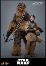 Star Wars Episode VI Movie Masterpiece Action Figure 1/6 Leia Organa (Boushh Disguise) 27 cm