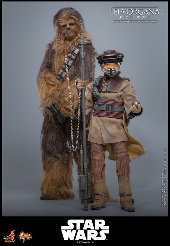 Star Wars Episode VI Movie Masterpiece Action Figure 1/6 Leia Organa (Boushh Disguise) 27 cm