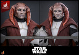 Star Wars: The Clone Wars Television Masterpiece Action Figure 1/6 Saesee Tiin (Clone Armor) (Hot Toys Exclusive) 32 cm