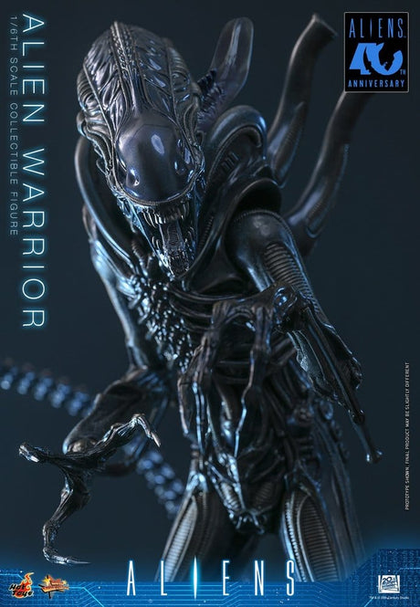 Alien Movie Masterpiece Action Figure 1/6 Alien Warrior 39 cm