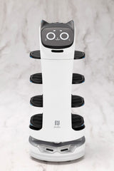 Pudu Robotics Grande ScalePlastic Model Kit BellaBot 19 cm
