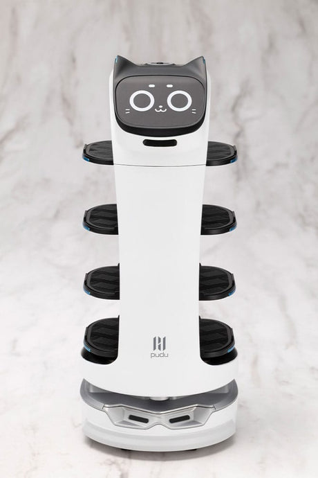 Pudu Robotics Grande ScalePlastic Model Kit BellaBot 19 cm