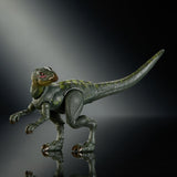 Jurassic World Hammond Collection Action Figure Hypsilophodon