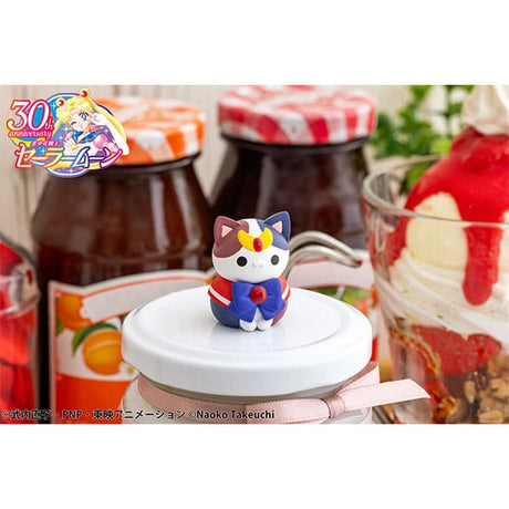 Sailor Moon: Mega Cat Project Trading Figures Sailor Mewn 2024 Ver. 3 cm (8)