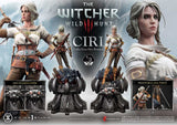 The Witcher 3 Wild Hunt Ciri Fiona Elen Riannon 81 cm 1/3 Museum Masterline Statue