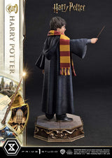 Harry Potter Harry Potter 28cm 1/6 Scale Prime Collectibles Statue