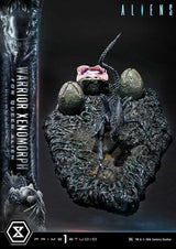 Aliens (Film) Ultimate Diorama Masterline Statue Warrior Xenomorph for Queen Alien 23 cm