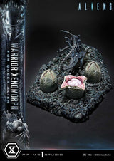 Aliens (Film) Ultimate Diorama Masterline Statue Warrior Xenomorph for Queen Alien 23 cm