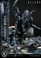 Aliens (Film) Ultimate Diorama Masterline Statue Warrior Xenomorph for Queen Alien 23 cm