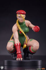 Street Fighter Cammy & Birdie 24cm 1/10 Scale PVC Statues