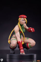 Street Fighter Cammy & Birdie 24cm 1/10 Scale PVC Statues