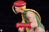 Street Fighter Cammy & Birdie 24cm 1/10 Scale PVC Statues