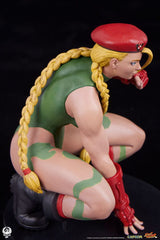Street Fighter Cammy & Birdie 24cm 1/10 Scale PVC Statues