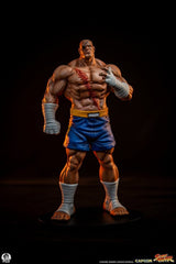 Street Fighter Street Jam Statuen 1/10 Sagat & Juli 24 cm