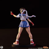 Street Fighter Street Jam Statues 1/10 Sakura & Sodom 22 cm