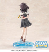 Monogatari Series XStellar PVC Figure Nadeko Sengoku 18 cm
