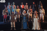 Star Wars Action Figure 1/6 Vizam 32 cm