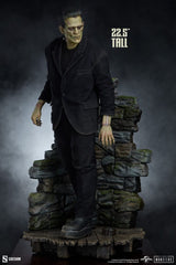 Frankenstein Premium Format Mixed Media Statue Frankenstein (Fabric Costume) 57 cm