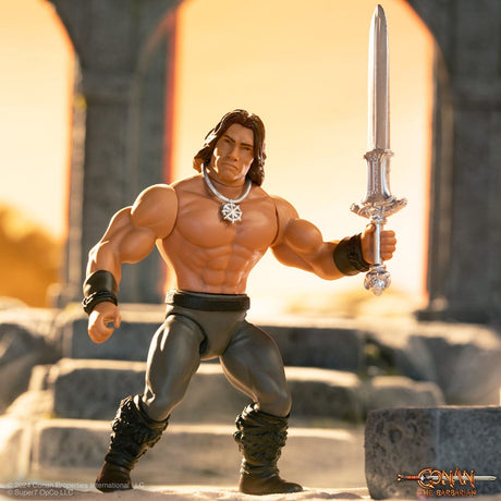 Conan the Barbarian 1982 Wave 1 Conan 14 cm Vintage Collection Action Figure