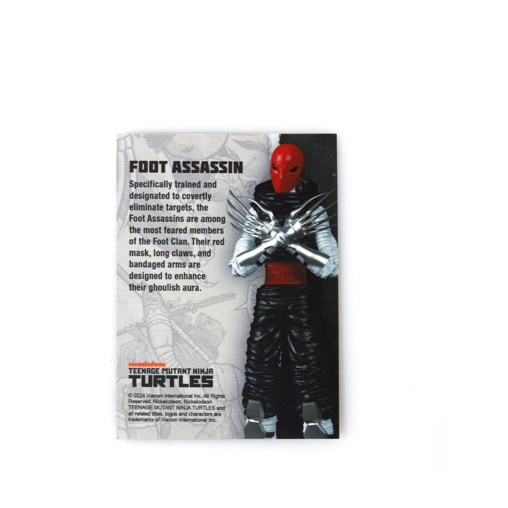 Teenage Mutant Ninja Turtles BST AXN Foot Assassin (IDW Comics) 13 cm Action Figure