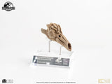 Jurassic Park III Prop Replica 1/1 Velociraptor Resonance Chamber 18 cm