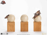 Jurassic Park ECC Elite Creature Line Pterosaur Hatching 16 cm 1/2 Statue