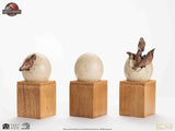 Jurassic Park III ECC Hatching Pterosaur 16 cm Elite Creature Line Statue