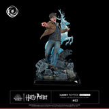 Harry Potter IKIGAI Figure 1/6 30 cm