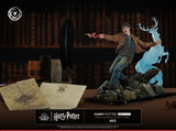 Harry Potter IKIGAI Figure 1/6 30 cm